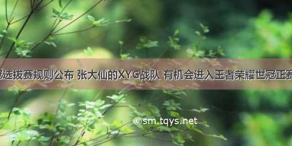 世冠选拔赛规则公布 张大仙的XYG战队 有机会进入王者荣耀世冠正赛吗？