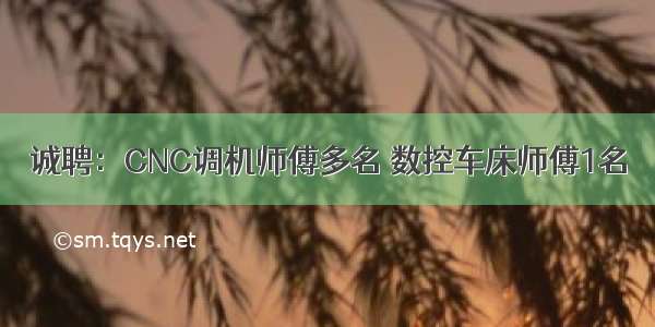 诚聘：CNC调机师傅多名 数控车床师傅1名