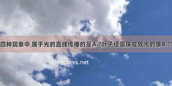 如图所示的四种现象中 属于光的直线传播的是A.?叶子经露珠成放大的像B.??树木在水中