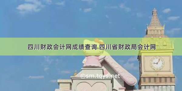 四川财政会计网成绩查询 四川省财政局会计网