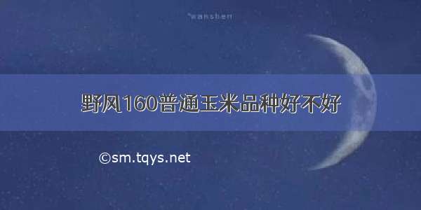 野风160普通玉米品种好不好