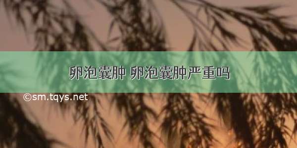 卵泡囊肿 卵泡囊肿严重吗