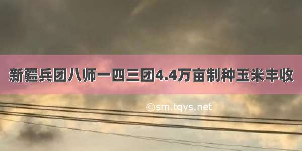 新疆兵团八师一四三团4.4万亩制种玉米丰收