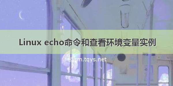 Linux echo命令和查看环境变量实例