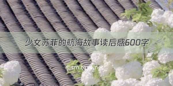 少女苏菲的航海故事读后感600字