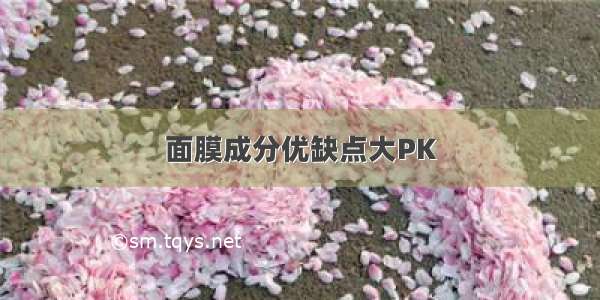 面膜成分优缺点大PK