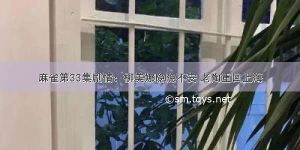 麻雀第33集剧情：柳美娜隐隐不安 老陶重回上海