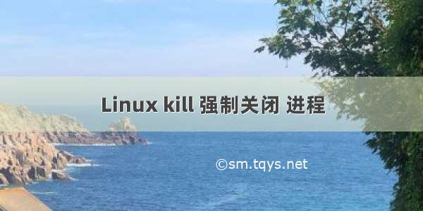 Linux kill 强制关闭 进程