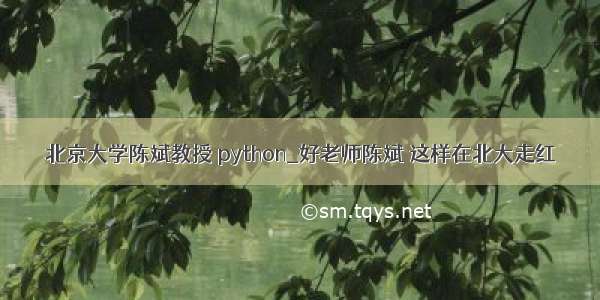 北京大学陈斌教授 python_好老师陈斌 这样在北大走红