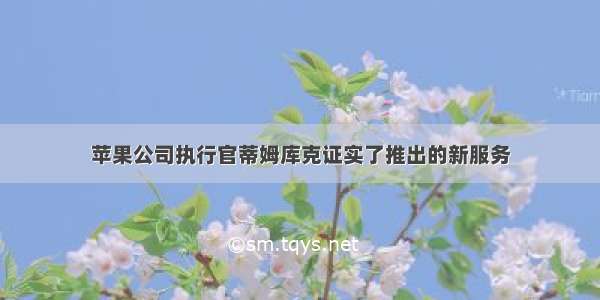 苹果公司执行官蒂姆库克证实了推出的新服务