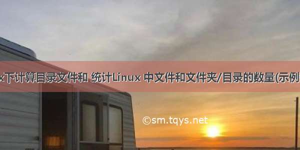 linux下计算目录文件和 统计Linux 中文件和文件夹/目录的数量(示例代码)