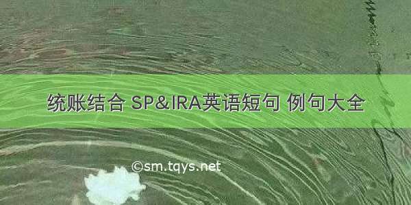 统账结合 SP&IRA英语短句 例句大全