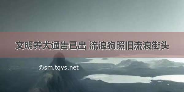 文明养犬通告已出 流浪狗照旧流浪街头