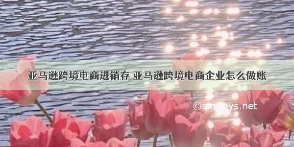 亚马逊跨境电商进销存 亚马逊跨境电商企业怎么做账