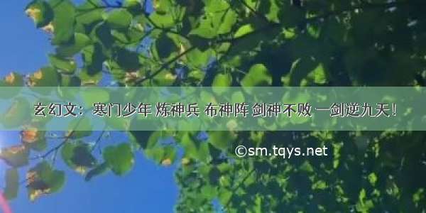 玄幻文：寒门少年 炼神兵 布神阵 剑神不败 一剑逆九天！