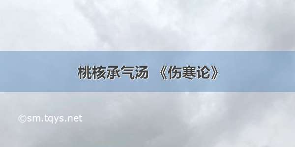 桃核承气汤 《伤寒论》