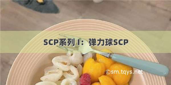 SCP系列 I：弹力球SCP