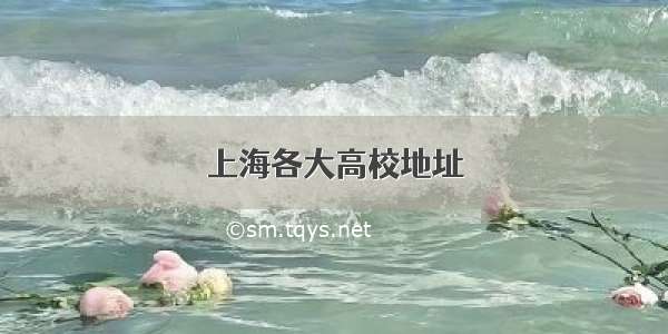 上海各大高校地址