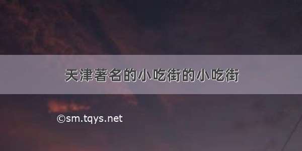 天津著名的小吃街的小吃街