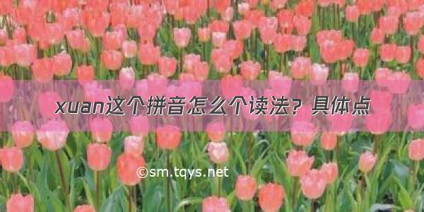 xuan这个拼音怎么个读法？具体点