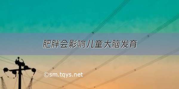 肥胖会影响儿童大脑发育