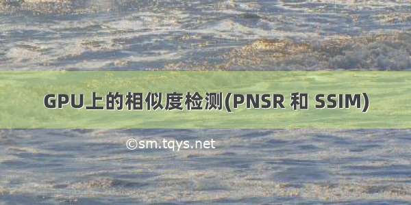 GPU上的相似度检测(PNSR 和 SSIM)