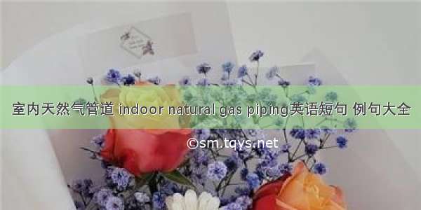 室内天然气管道 indoor natural gas piping英语短句 例句大全