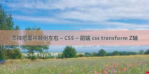 怎样把图片颠倒左右 – CSS – 前端 css transform Z轴