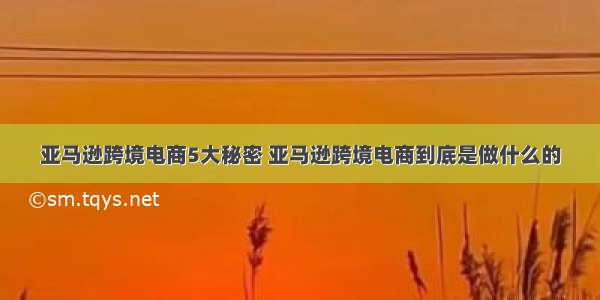 亚马逊跨境电商5大秘密 亚马逊跨境电商到底是做什么的