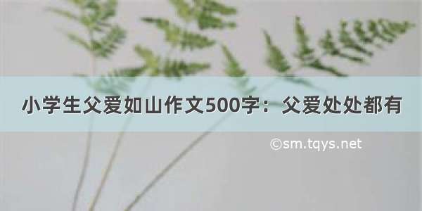 小学生父爱如山作文500字：父爱处处都有