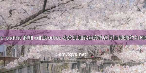 vue-router 使用 addRoutes 动态添加路由跳转后页面刷新空白问题