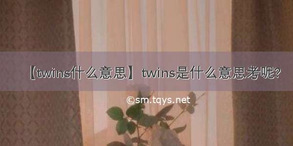 【twins什么意思】twins是什么意思考呢?