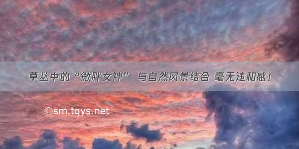 草丛中的“微胖女神” 与自然风景结合 毫无违和感！