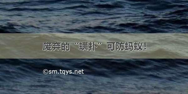 废弃的“螨扑”可防蚂蚁！