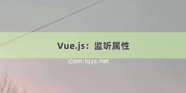 Vue.js：监听属性