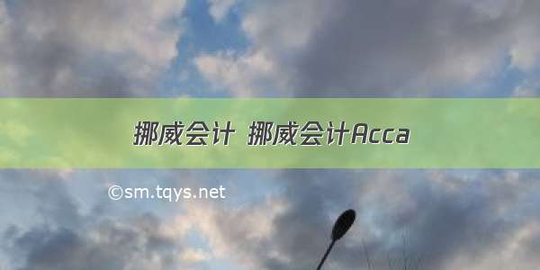 挪威会计 挪威会计Acca