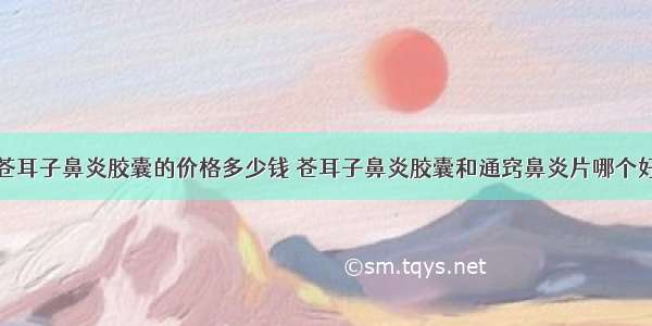 苍耳子鼻炎胶囊的价格多少钱 苍耳子鼻炎胶囊和通窍鼻炎片哪个好