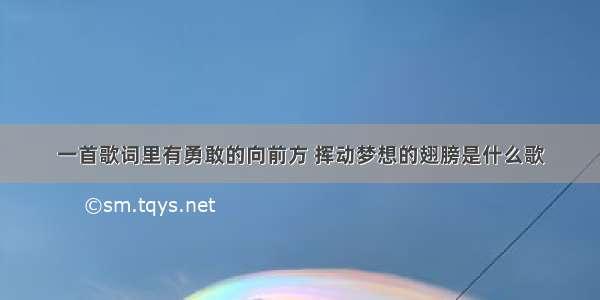 一首歌词里有勇敢的向前方 挥动梦想的翅膀是什么歌