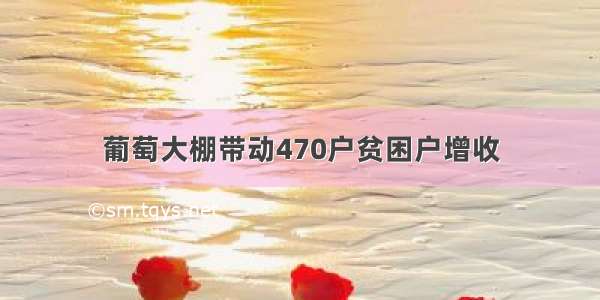 葡萄大棚带动470户贫困户增收