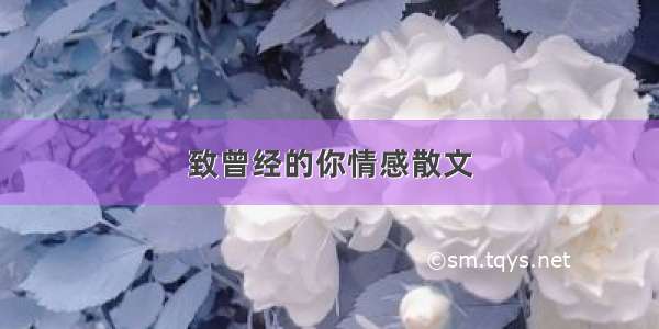 致曾经的你情感散文