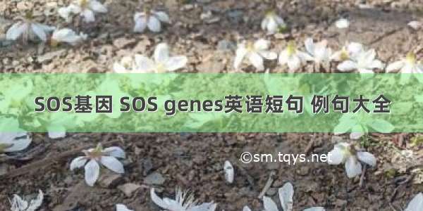 SOS基因 SOS genes英语短句 例句大全