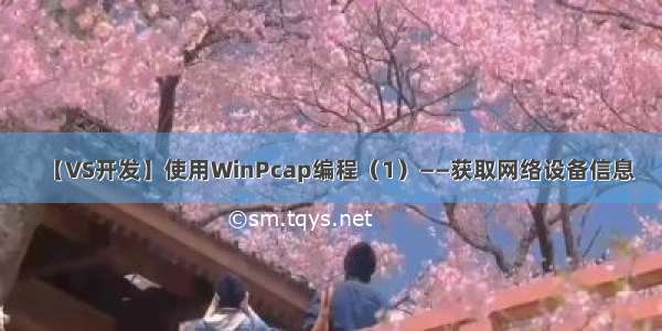 【VS开发】使用WinPcap编程（1）——获取网络设备信息