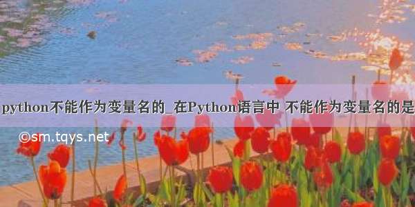 python不能作为变量名的_在Python语言中 不能作为变量名的是