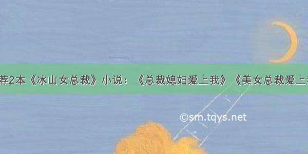 推荐2本《冰山女总裁》小说：《总裁媳妇爱上我》《美女总裁爱上我》