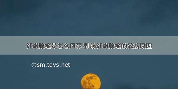 纤维腺瘤是怎么回事	乳腺纤维腺瘤的致病原因