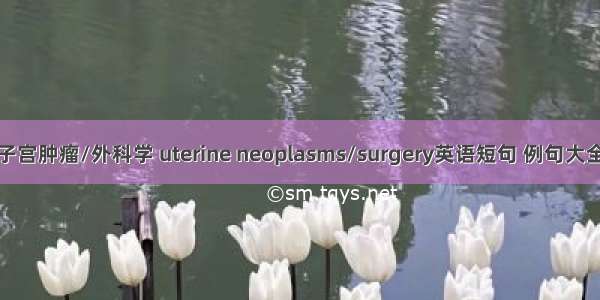 子宫肿瘤/外科学 uterine neoplasms/surgery英语短句 例句大全