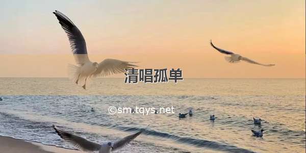 清唱孤单