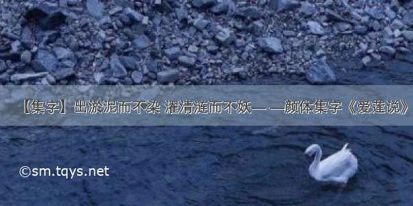 【集字】出淤泥而不染 濯清涟而不妖— —颜体集字《爱莲说》