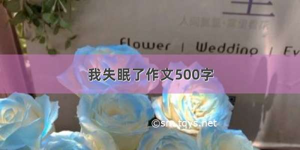 我失眠了作文500字