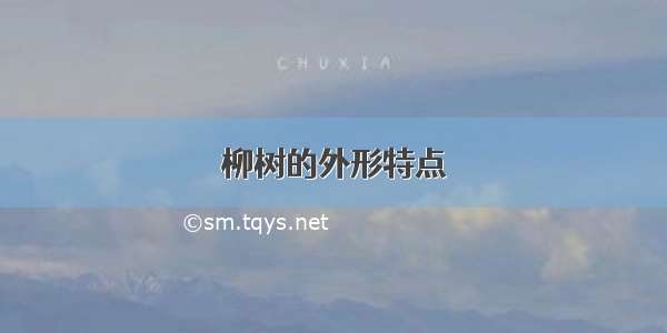 柳树的外形特点